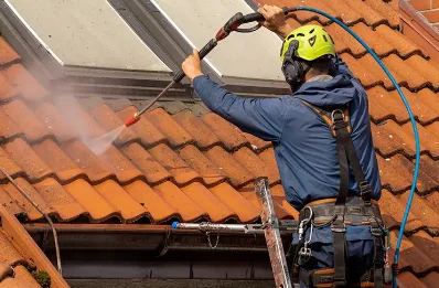 Démoussage et hydrofuge de toiture à Sérigny